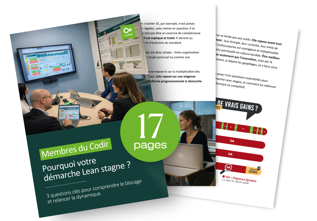 Membres du CODIR : Pourquoi votre démarche Lean stagne ? Membres du CODIR : Pourquoi votre démarche Lean stagne ?