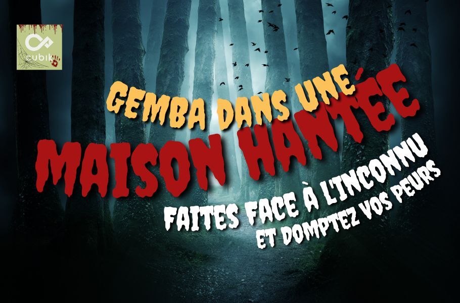Réaliser un gemba