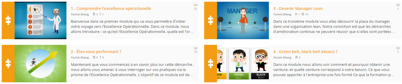 formation-e-learning-yellow-belt